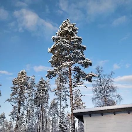 Rautio Rovaniemi